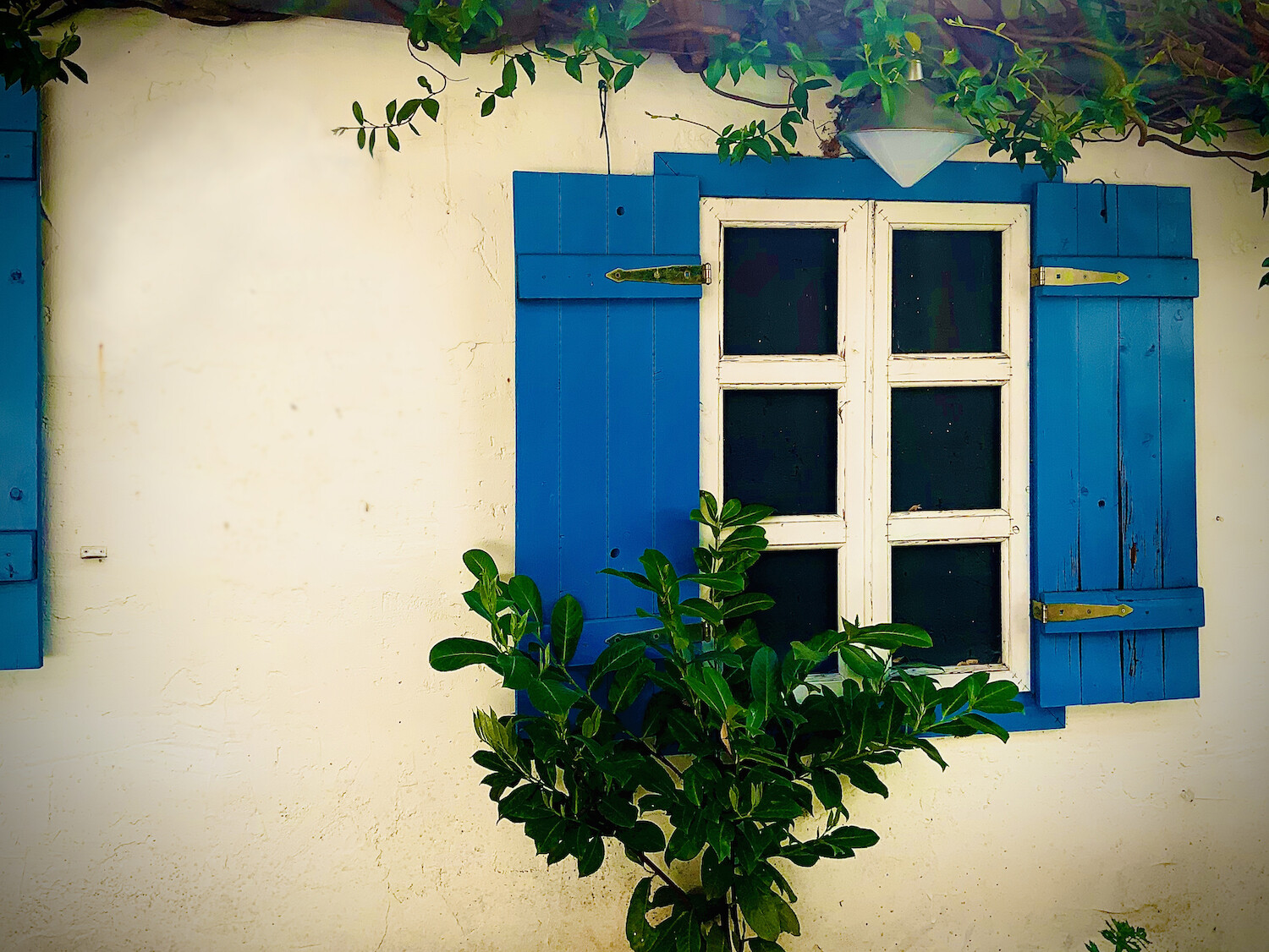 Die besten griechischen Restaurants in Köln | Taverne Alekos | Mr. Köln | Foto: Taverne Alekos